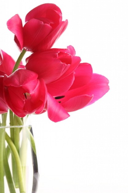 ELEYUERES KALE FVTO SHMERA BLOG