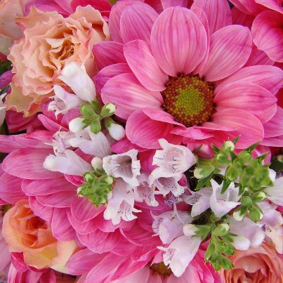 553004_530864976953526_1298056185_n