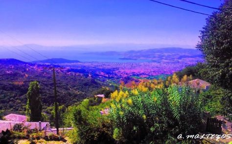 BOLOS PANEMORFH POLH